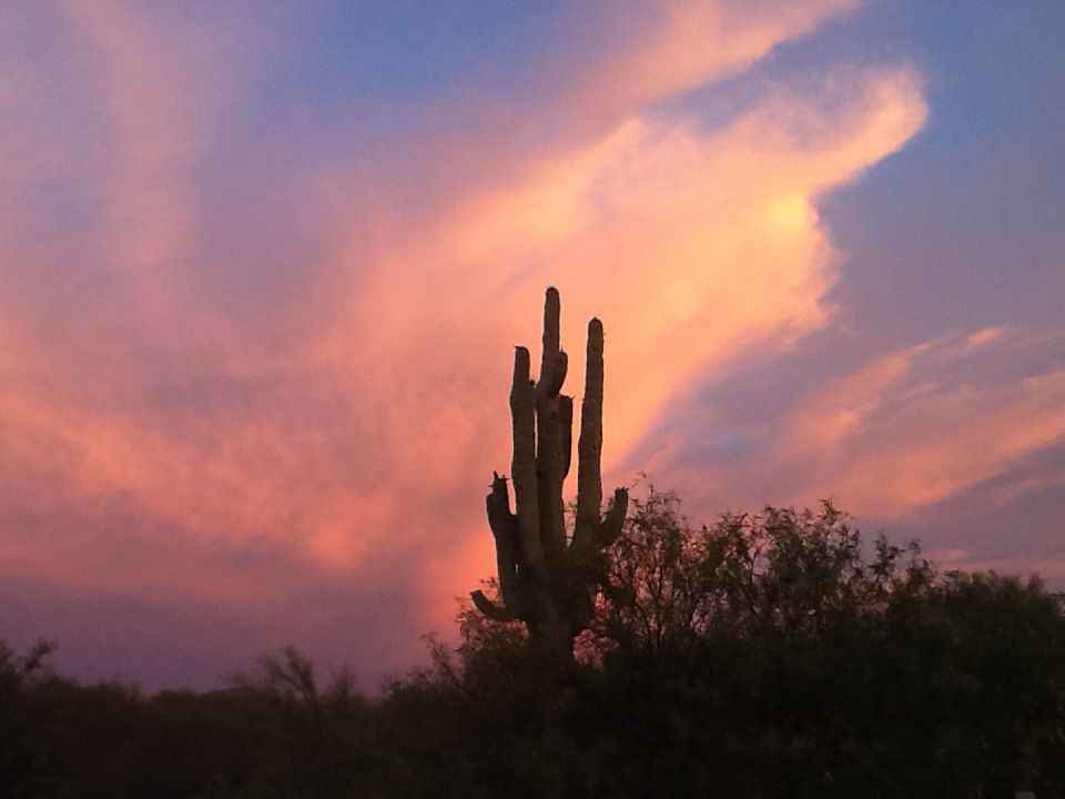 Beautiful Arizona sunsets